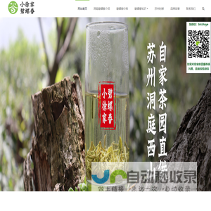 洞庭碧螺春产地直销_碧螺春茶叶价格多少钱一斤_苏州碧螺春哪个牌子好-小徐家碧螺春
